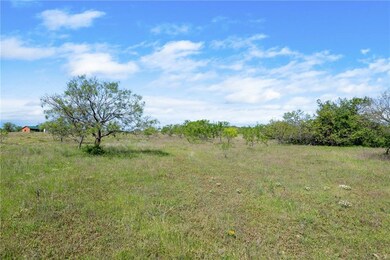 TBD County Road 276, Bertram, TX 78605 - photo 5
