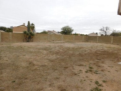 Backyard Right