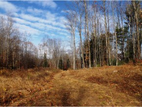 Lot 2 Gordon Hill Rd, New Hampton, NH 03256 - photo 7