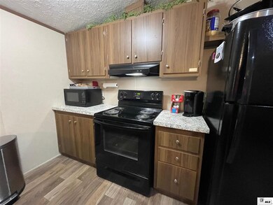 232 Par Road 482 unit 232 Tim Staples Loop, Jonesboro, LA 71251 - photo 7