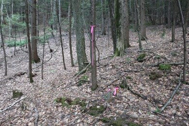 0 Manning Hill Rd, Winchester, NH 03470 - photo 3