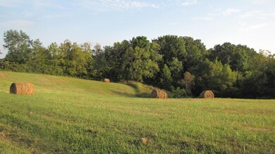 IMG_0013