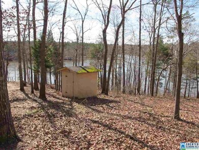 0 County Road 256 unit 773940, Wedowee, AL 36278 - photo 7