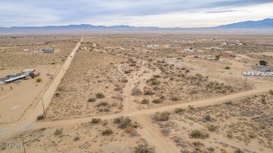 31004009 Kingman-4