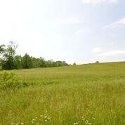 495 Hopewell Rd, Harrodsburg, KY 40330 - photo 5