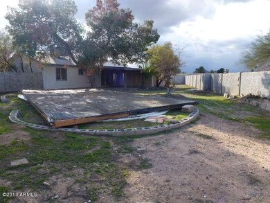 023-339747 - Backyard 5