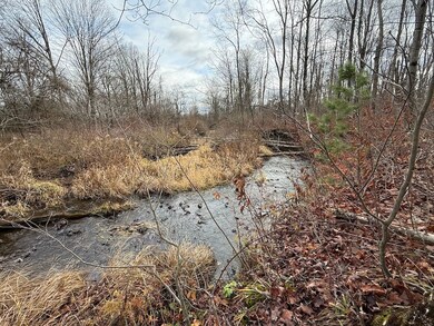 0 Caswell Rd unit LotWP001, Freeville, NY 13068 - photo 6