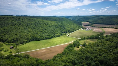 12808 Ohio 348, Otway, OH 45657 - photo 7