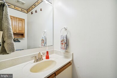 8511 Chapman Oak Ct, Springfield, VA 22153 - photo 6