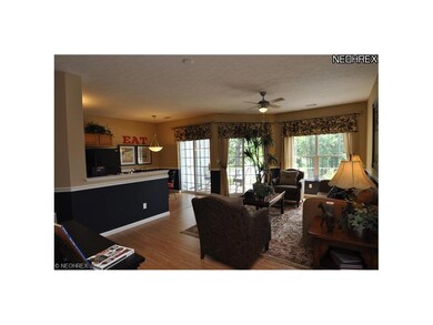 718 Aqua Marine Blvd unit 718, Avon Lake, OH 44012 - photo 6