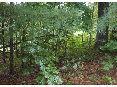 Land/Lot.
