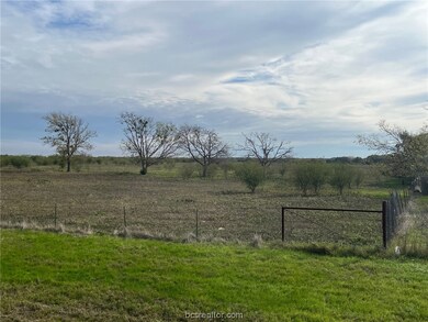 6936 State Highway 21 W, Bryan, TX 77808 - photo 4