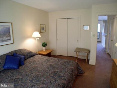 2608 Fairway Dr unit 603, Basye-Bryce Mountain, VA 22810 - photo 3