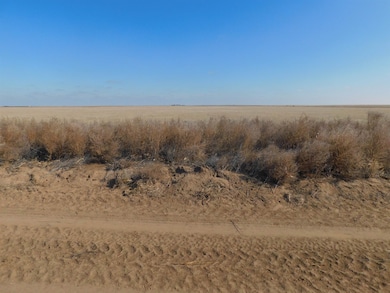 SW 1/4 13-6N-13 SW Texas County, Guymon, OK 73942 - photo 3
