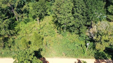 0 Eureka Landing Rd unit 669712, Uriah, AL 36480 - photo 4