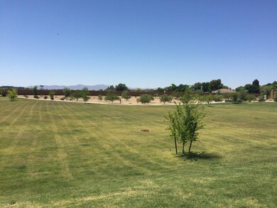Grass Park