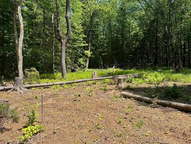 232 Deer Hill Rd, Whitingham, VT 05361 - photo 2