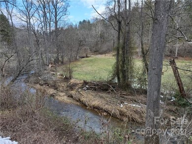 lot 17 Merrell Rd unit 17, Leicester, NC 28748 - photo 2