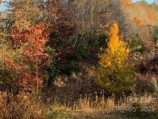 TRACTS off Pleasant Pleasant Grove Rd unit TOTAL: 20+ Acres, Laurel Park, NC 28739 - photo 4