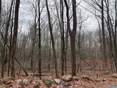 91 Clark Rd, Sturbridge, MA 01518 - photo 4