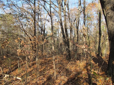 9560 Madison, Red Star, AR 72752 - photo 7