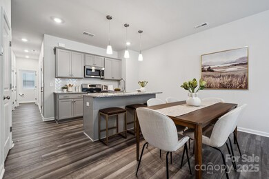 4724 Lakeview Rd unit 13, Charlotte, NC 28216 - photo 4