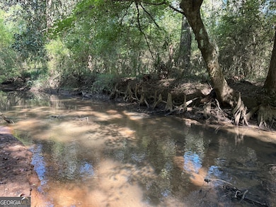 0011GH Wallace Buie Rd, Webb, AL 36376 - photo 2