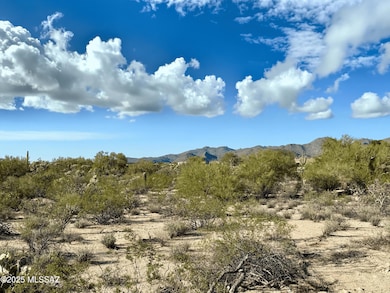 Photo Nov 05 2025, 3 20 31 PM-min