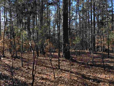 0 Highway 405 unit 3.9 1315307, Oxford, MS 38655 - photo 7