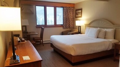 90 Loon Mountain Rd unit 1310D, Lincoln, NH 03251 - photo 5