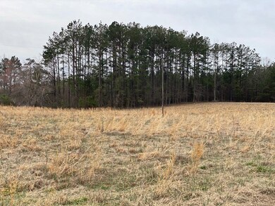 0 Craig Mill Rd unit B2 46919, Lunenburg, VA 23944 - photo 4