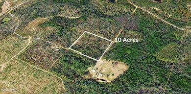 0 Stallion Ln, Marianna, FL 32448 - photo 3