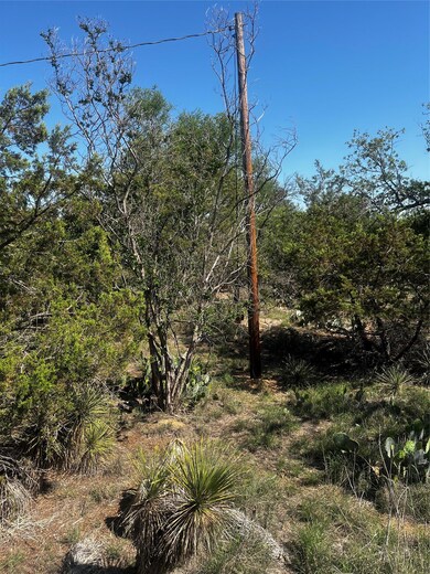 View of nature