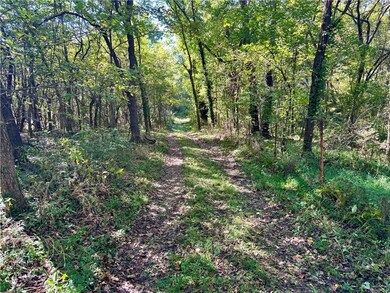 TBD Lake Francis Rd, Summers, AR 72769 - photo 6