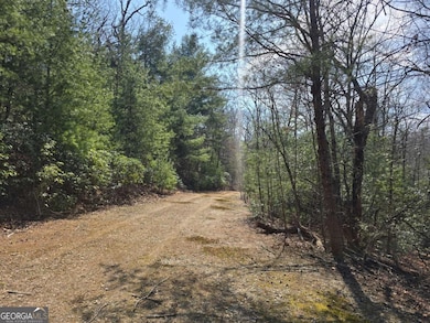 8 & 9 Up the Ridge Rd, Blairsville, GA 30512 - photo 3