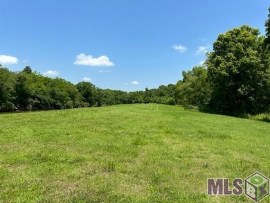 1053 Poydras Bayou Rd, Port Allen, LA 70767 - photo 5