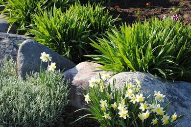 1259 N 590 E, Shelley, ID 83274 - photo 4