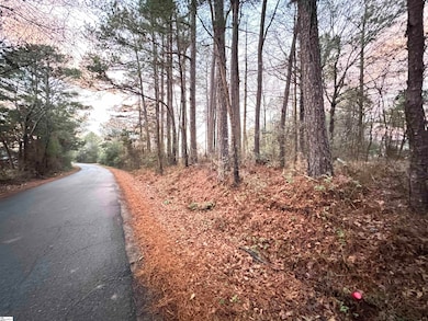 111 Hortizone Dr, Woodruff, SC 29388 - photo 7