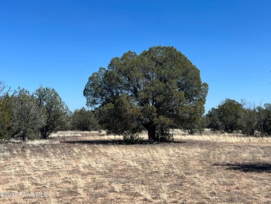 10 Ajo Jogger, Ash Fork, AZ 86320 - photo 5