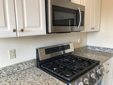 Warwick Condos unit 642, Brookline, MA 02446 - photo 3