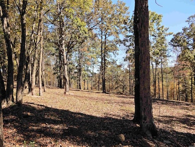 Lot 33, 34 & 35 Watersedge Dr, Edgemont, AR 72044 - photo 6