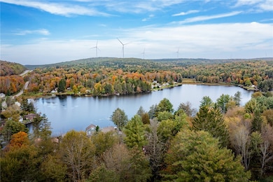 17 Billy Goat Hill Rd, Windsor, NY 13865 - photo 3