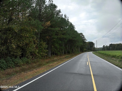 0 Red Oak Battleboro Rd unit 100534791, Battleboro, NC 27809 - photo 5