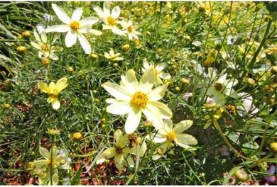 102 Conestoga Dr, Uxbridge, MA 01569 - photo 7