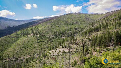 0 Swamp Creek Rd unit 25712607, Plains, MT 59859 - photo 7