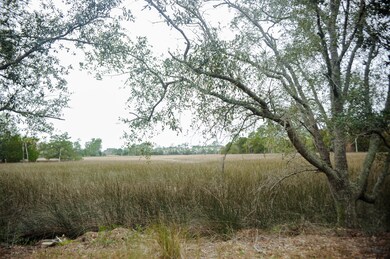 Charleston Marsh Views in your Backyard