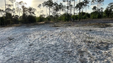 1210 Little Ln, Central Naples, FL 34105 - photo 2