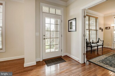 42709 Ashburn Tillett Dr, Broadlands, VA 20148 - photo 3