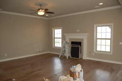 360 Frizzo St, Springdale, AR 72762 - photo 3