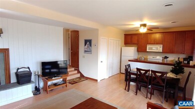 431 3 Ridges, Wintergreen Resort, VA 22967 - photo 4